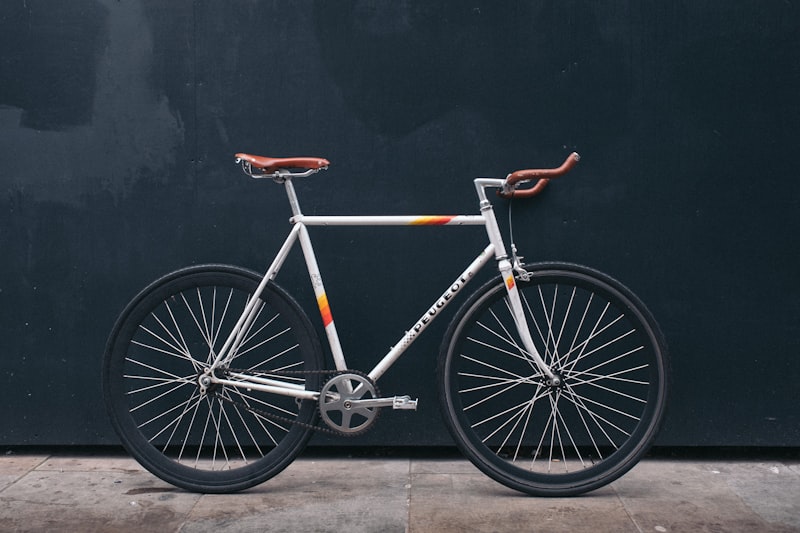 Modern road and gravel bicycle on scenic paved nature trail
